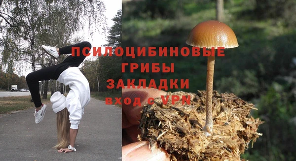 a pvp Алексеевка
