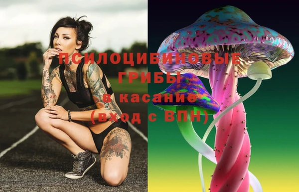 дурь Алзамай