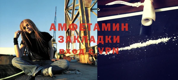 твердый Лагань
